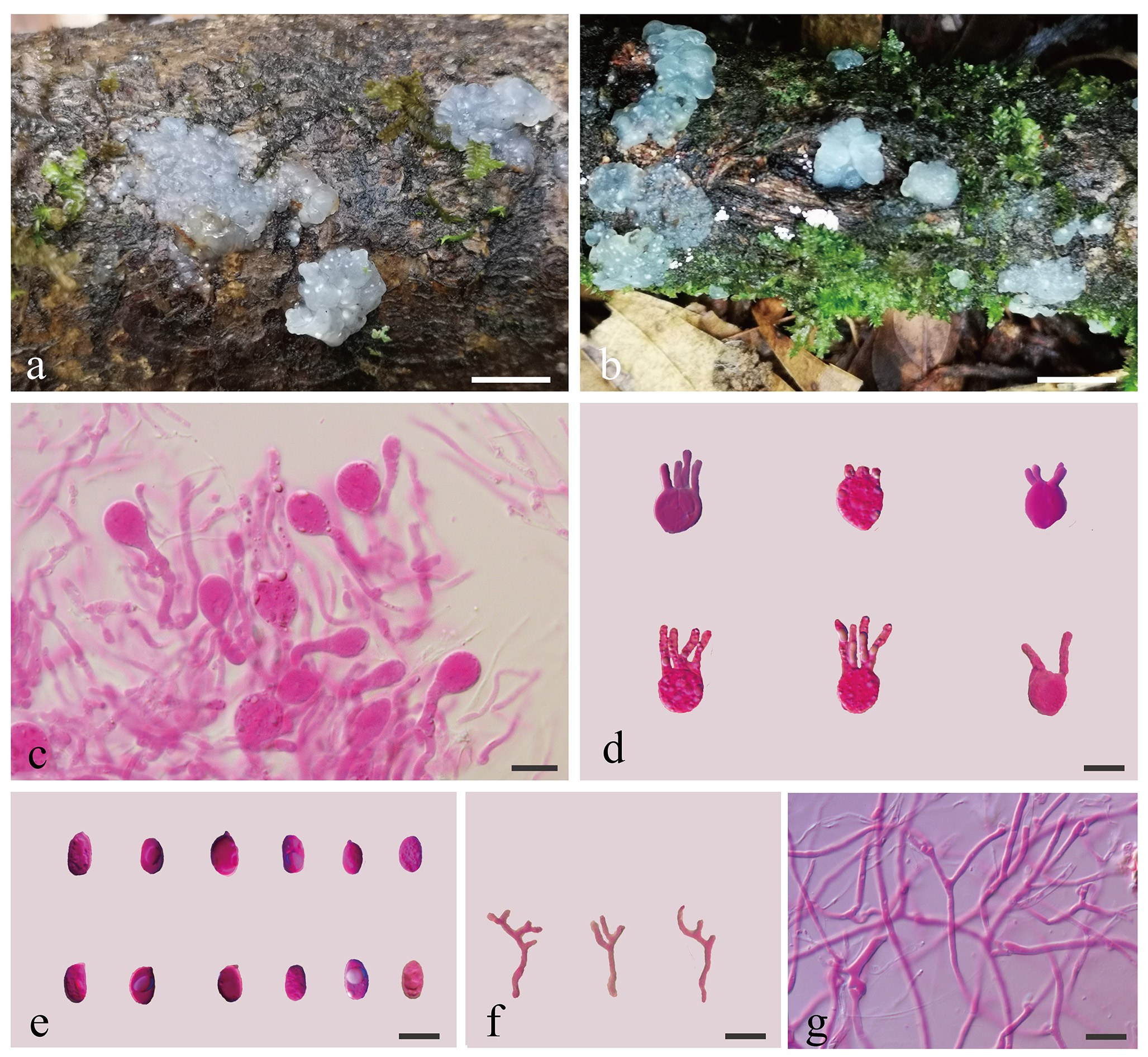 Figure 38